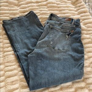 Judy Blue Denim Jeans